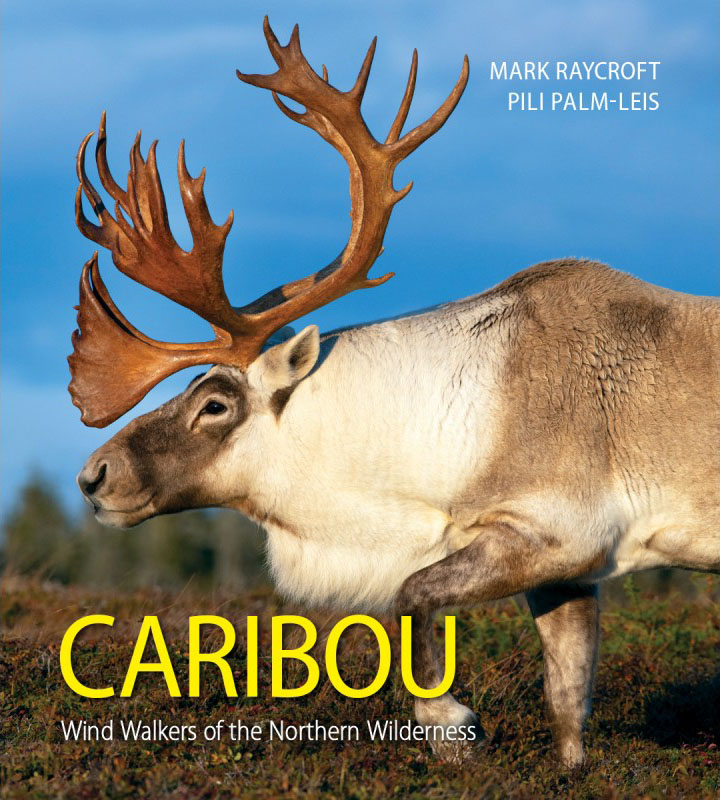 BookShelf - Caribou: Wind Walkers of the Northern Wilderness - PHOTONews  Magazine