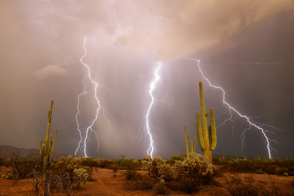 A stunning display of lightning and saguaro cactus at sunset down in far southern Arizona