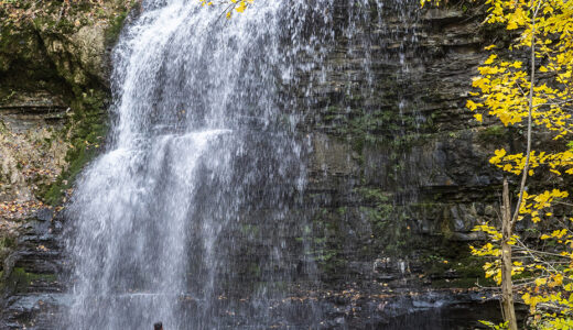 Hamilton: The City of Waterfalls